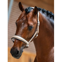 Licol en cuir Equestrian Stockholm anatomic scintillant Sable Beige