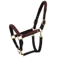 Licol grooming cuir huilé Norton Spring Havane Marron Licol grooming cuir huilé Norton Spring Havane Marron