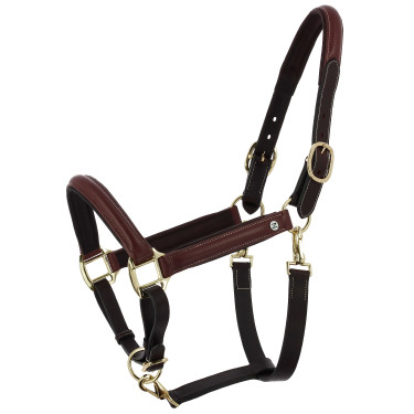 Licol grooming cuir huilé Norton Spring Havane Marron