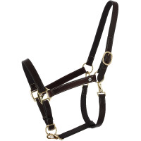 Norton Derby leren geoliede verzorgingshalster Havana Bruin