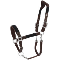 Licol Norton Dualy Havane / marine Marron Licol Norton Dualy Havane / marine Marron