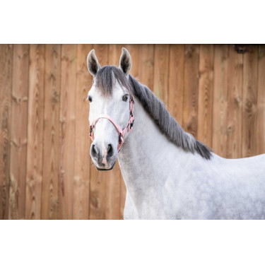 Halter LC Vibes Lami-Cell Lucht Blauw
