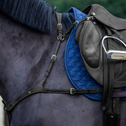 Collier De Chasse Anatomique Dy'on D Collection Noir