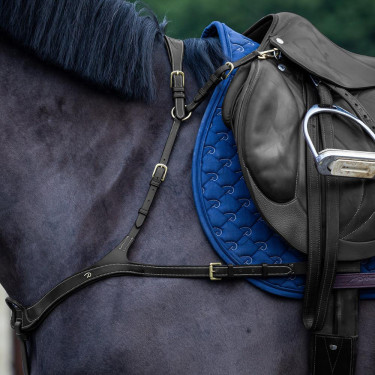 Collier De Chasse Anatomique Dy'on D Collection Noir