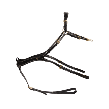 Collier De Chasse Anatomique Dy'on D Collection Noir