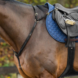 Collier De Chasse à Pont Dy'on D Collection Noir