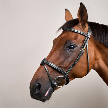 Bridon Muserolle Combinée Dy'on D Collection Noir