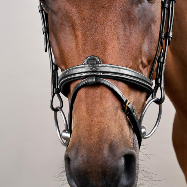 Bridon Combiné Neusriem Dy'on D Collection Zwart