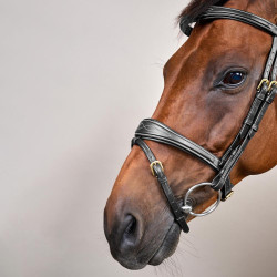 Bridon Combiné Anatomisch Dy'on D Collectie Zwart