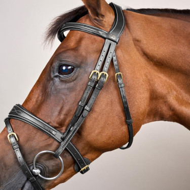 Bridon Combiné Anatomisch Dy'on D Collectie Zwart