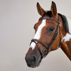 Hoofdstel Neusriem Gecombineerd Met Musketon Dy'on Working Bruin