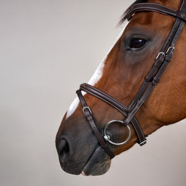 Hoofdstel Neusriem Gecombineerd Met Musketon Dy'on Working Bruin