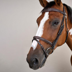 Hoofdstel Neusriem Gecombineerd Met Musketon Dy'on Working Bruin