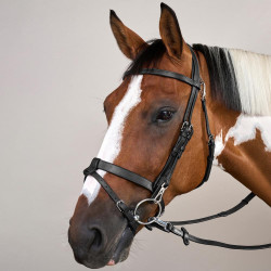 Bridon Cuir Plat Avec Mousquetons Working by Dy'on Noir Bridon Cuir Plat Avec Mousquetons Working by Dy'on Noir