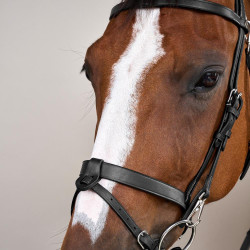 Bridon Cuir Plat Avec Mousquetons Working by Dy'on Noir Bridon Cuir Plat Avec Mousquetons Working by Dy'on Noir