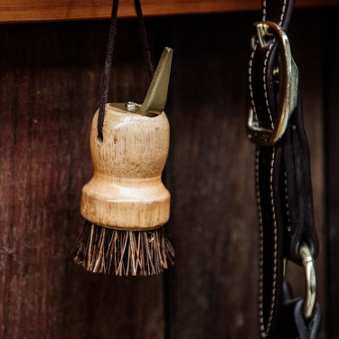 Kleine hoevenkrabber Kentucky Bruin