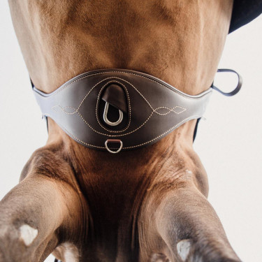 Anatomische Singel Kentucky Bruin