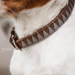 Halsband voor hond Driehoek Kentucky Bruin