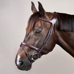 Bridon Différence New English Collection by Dy'on Brun Marron Bridon Différence New English Collection by Dy'on Brun Marron