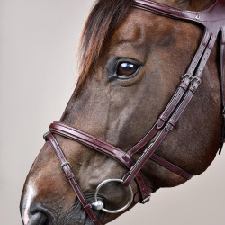 Bridon Différence New English Collection by Dy'on Brun Marron Bridon Différence New English Collection by Dy'on Brun Marron