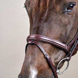 Bridon Différence New English Collection by Dy'on Brun Marron Bridon Différence New English Collection by Dy'on Brun Marron