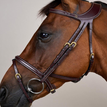 Hoofdstel Différence D Collectie van Dy'on Bruin Hoofdstel Différence D Collectie van Dy'on Bruin