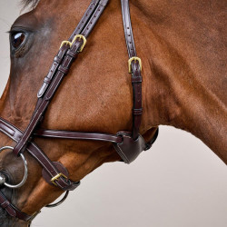 Hoofdstel Différence D Collectie van Dy'on Bruin Hoofdstel Différence D Collectie van Dy'on Bruin