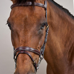 Bridon Différence D Collection by Dy'on Brun Marron