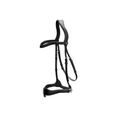 Bridon D Motion New English Collection by Dy'on Noir