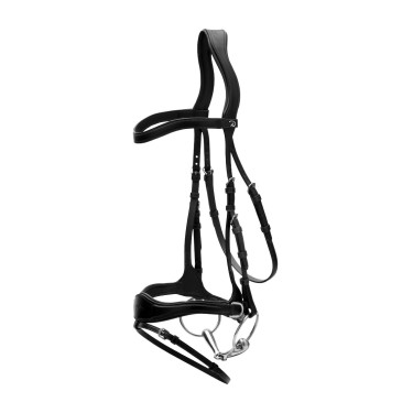 Bridon D Motion New English Collection by Dy'on Noir