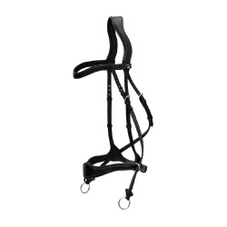 Hoofdstel D Motion New English Collection by Dy'on Zwart