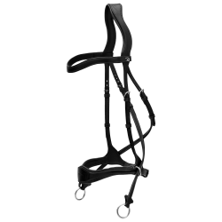 Hoofdstel D Motion New English Collection by Dy'on Zwart