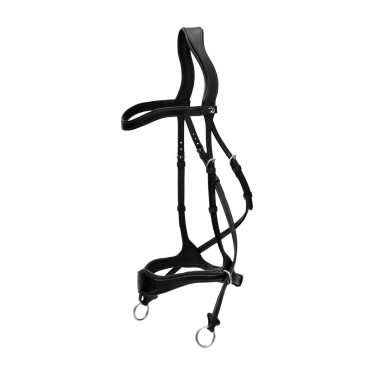 Hoofdstel D Motion New English Collection by Dy'on Zwart