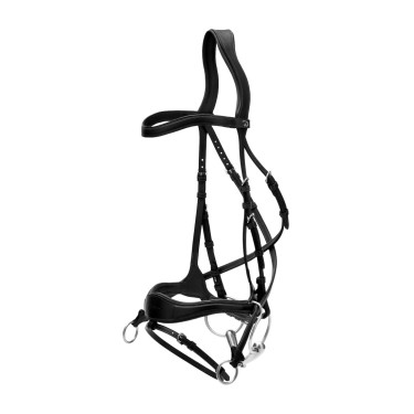 Hoofdstel D Motion New English Collection by Dy'on Zwart