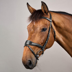 Bridon D Motion New English Collection by Dy'on Noir