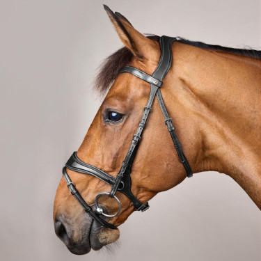 Hoofdstel D Motion New English Collection by Dy'on Zwart