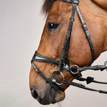 Bridon D Motion New English Collection by Dy'on Noir