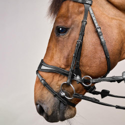 Hoofdstel D Motion New English Collection by Dy'on Zwart