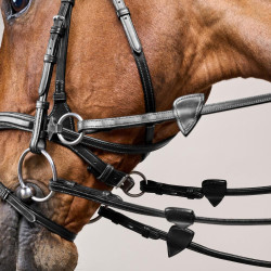 Bridon D Motion New English Collection by Dy'on Noir