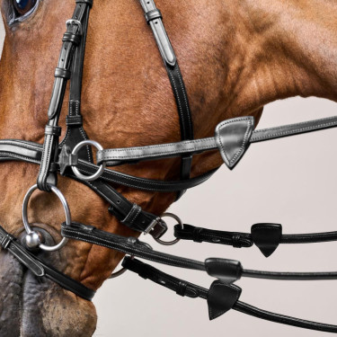 Bridon D Motion New English Collection by Dy'on Noir