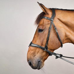 Hoofdstel D Motion New English Collection by Dy'on Zwart