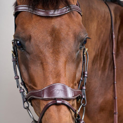 Bridon D Motion D Collection by Dy'on Marron