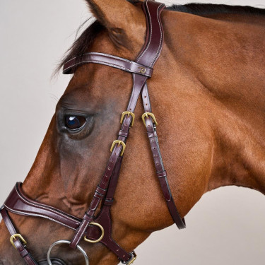 Bridon D Motion D Collection by Dy'on Marron