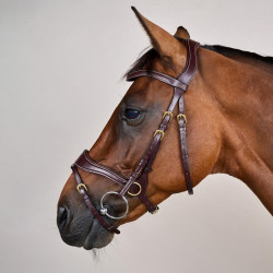 Bridon D Motion D Collection by Dy'on Marron