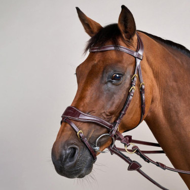 Bridon D Motion D Collection by Dy'on Marron