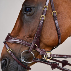 Hoofdstel D Motion D Collectie van Dy'on Bruin