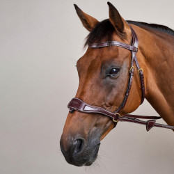 Hoofdstel D Motion D Collectie van Dy'on Bruin