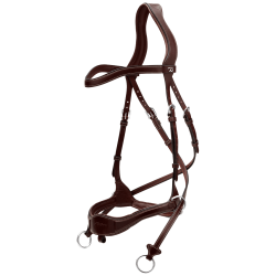 Bridon D Motion D Collection by Dy'on Marron