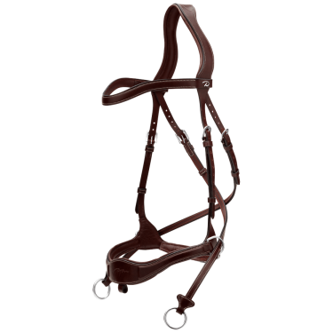 Bridon D Motion D Collection by Dy'on Marron