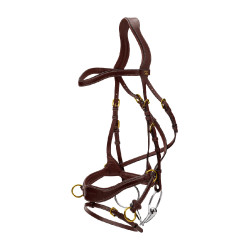 Hoofdstel D Motion D Collectie van Dy'on Bruin Hoofdstel D Motion D Collectie van Dy'on Bruin